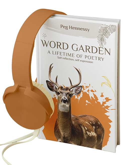 Prime Story Publishers